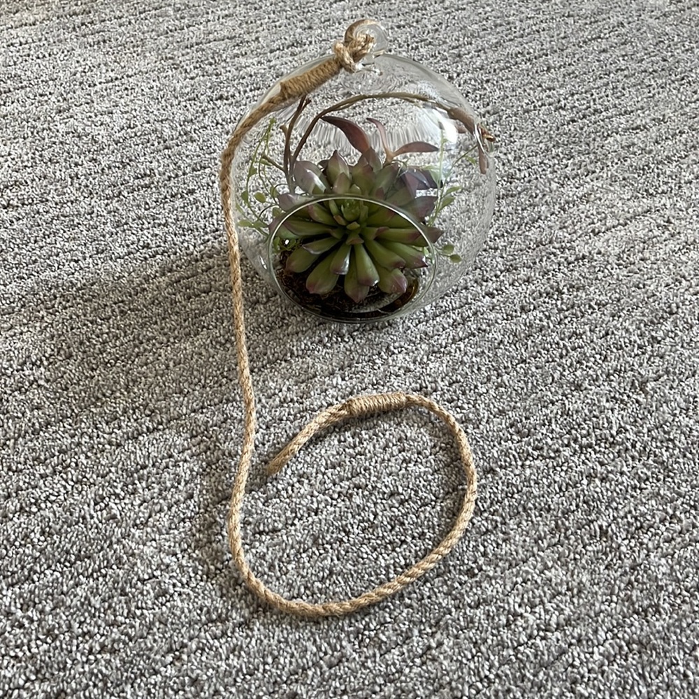 Crate& Barrel Hanging Terrarium